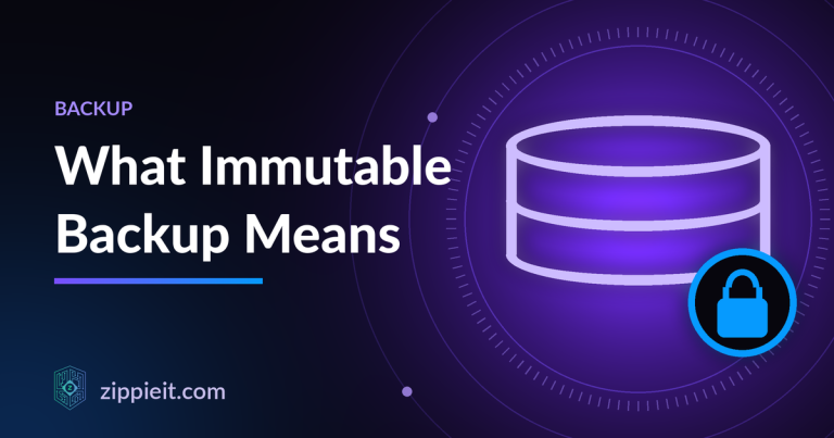 Illustration of a database with a padlock for immutable backups